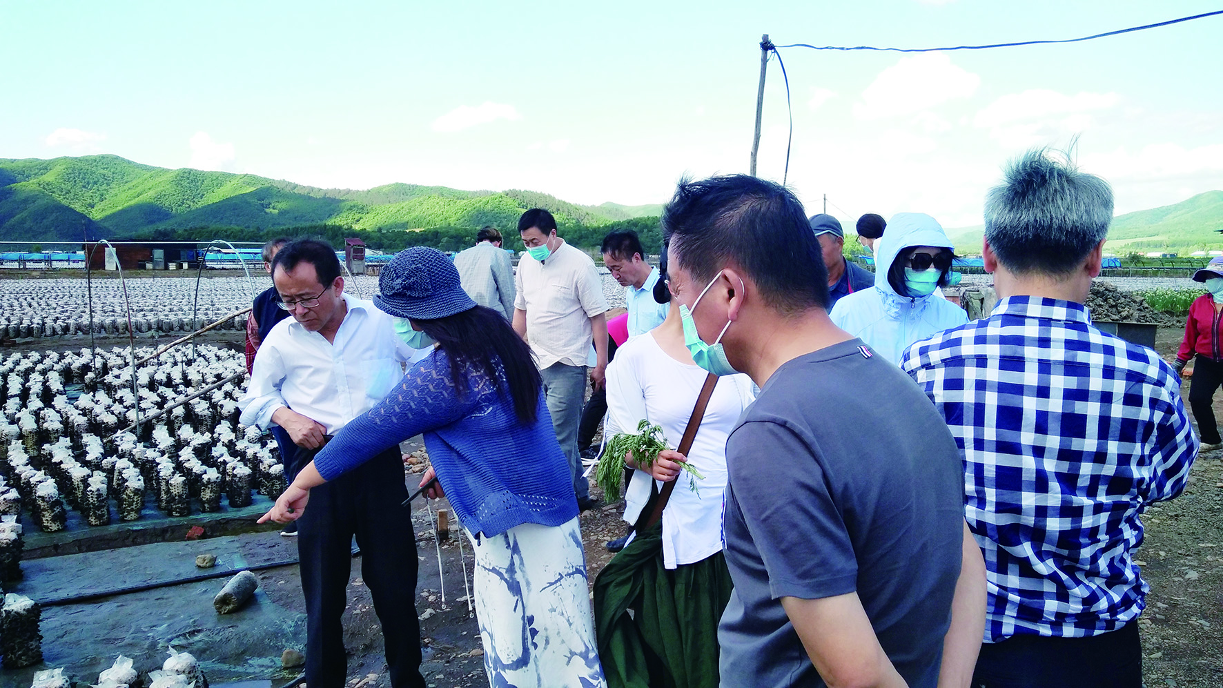 作家采访吉林省延边州汪清县天桥岭镇天平村扶贫产业项目