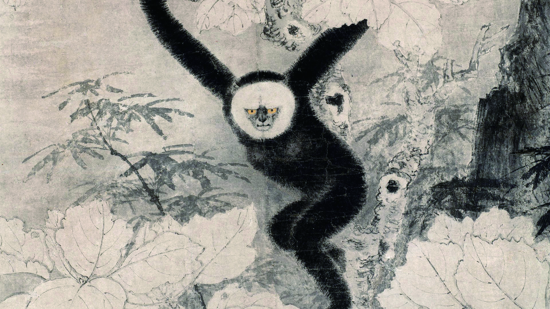 长臂猿在梧桐树上(国画,局部)  [宋]易元吉 作